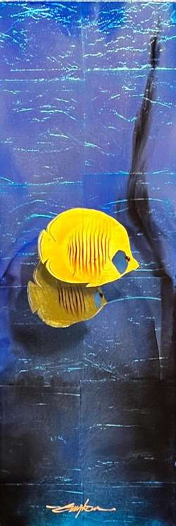 Patrick GuytonArt titleButterfly Fish 30X10 39X19F