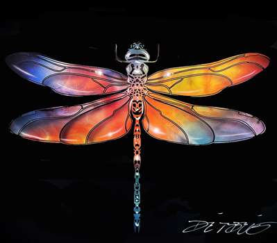 Chris DeRubeisArt titleDragonfly 12X16