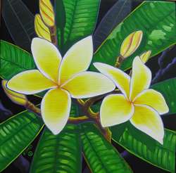 Yellow Plumeria 12X12 